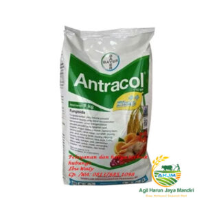 Antracol 70WP +Zinc 500 Gram Fungisida Pengendali Hama Tanaman Original